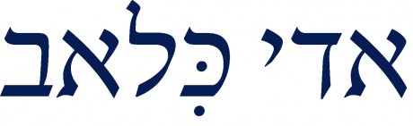 אדי כלאב | נעלי עור בעבודת יד | נעליים מעוצבות לנשים ולגברים